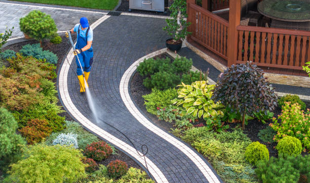 Best Affordable Pressure Washing  in Steamboat Springs, CO